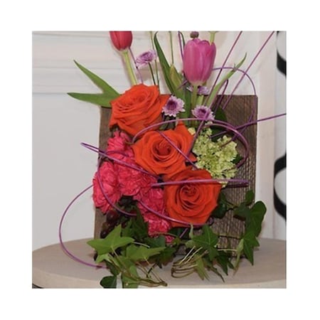 Shop Living Walls Mini Frame, Brown BG-MINI8B